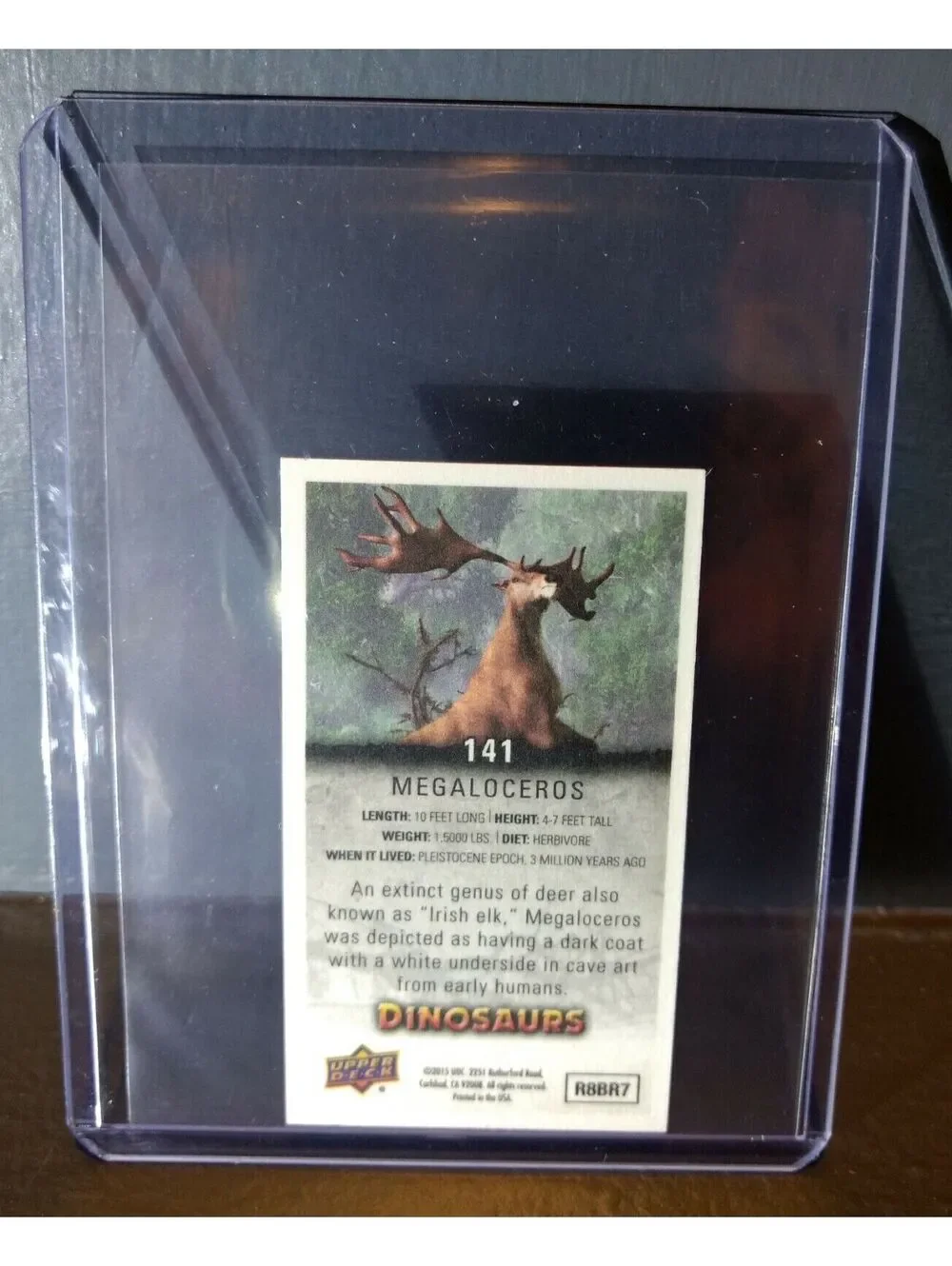 2015 Upper Deck Dinosaurs Canvas Mini Megaloceros #141 Trading Card